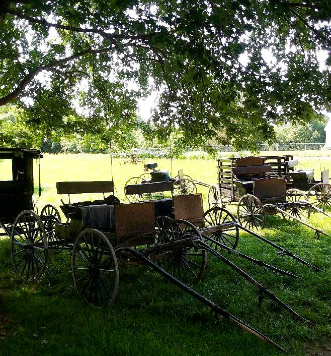 35766674_1557545181035144_7899218484033224704_n-2