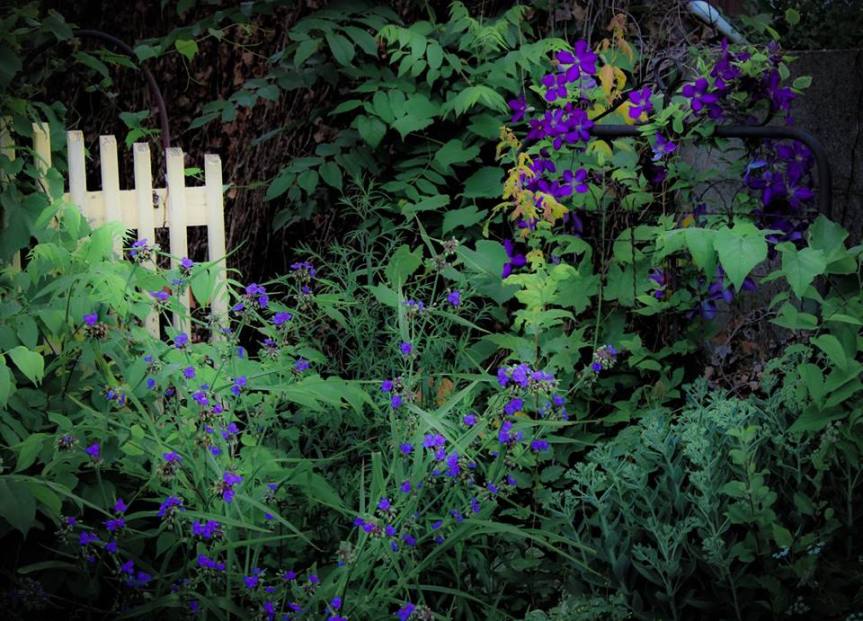 35761526_1559512730838389_2101664722137907200_n