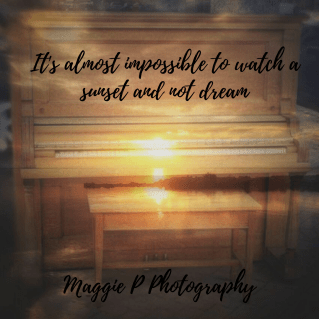 Maggie P Photography 7